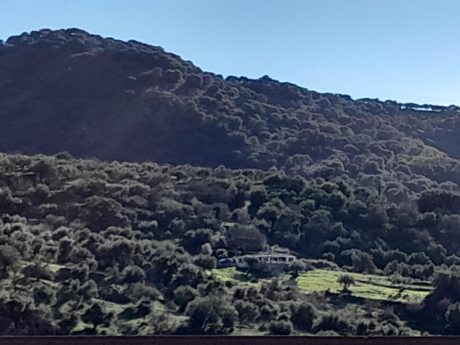 Villa El Higueron Jimera de Líbar Exterior foto